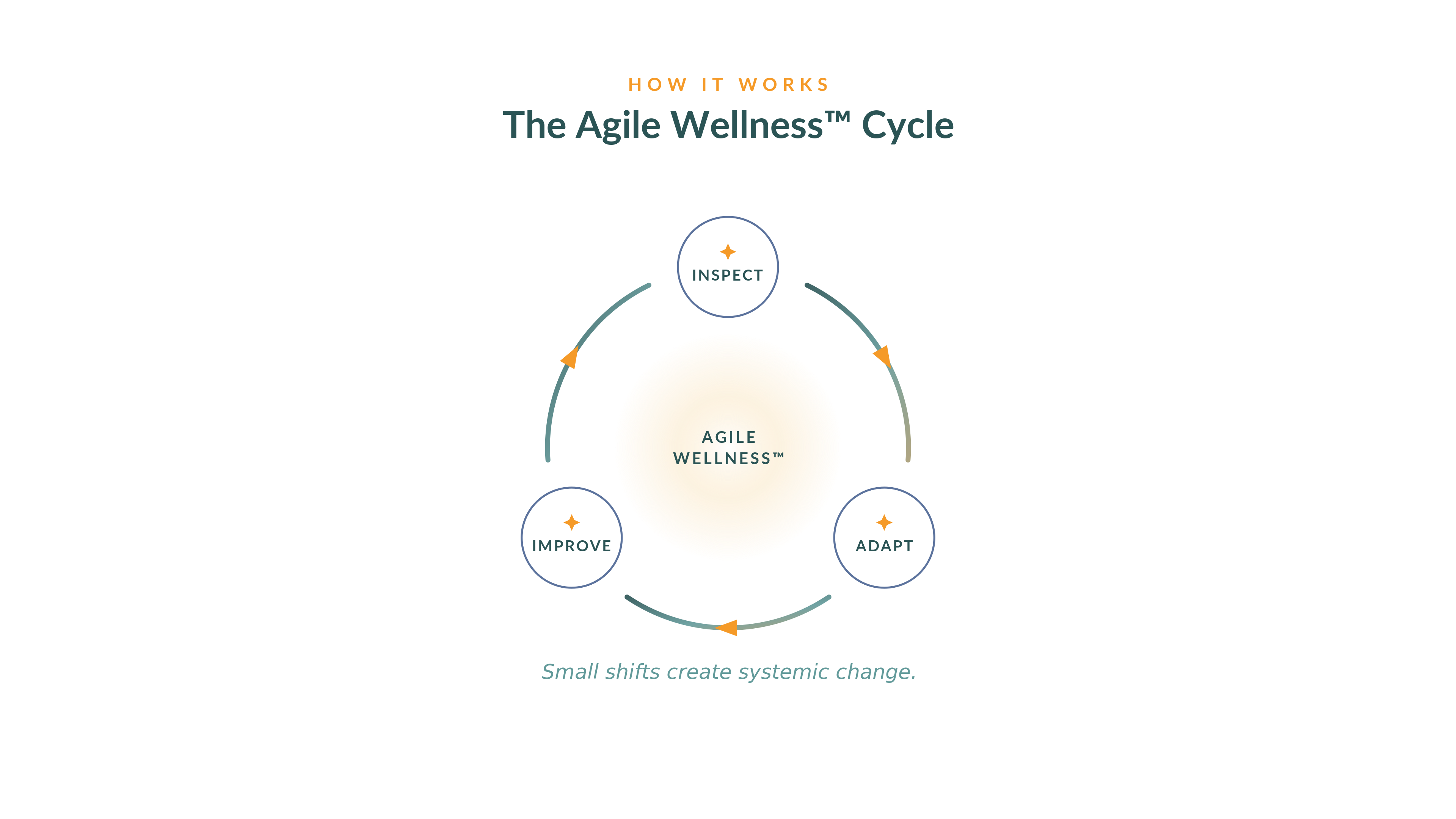 The Agile Wellness Cycle: Inspect, Adapt, Improve — small shifts create systemic change